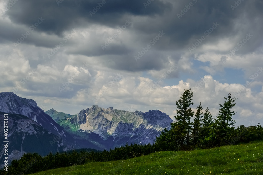 rocky mountains with pinetrees and green meadow while hiking