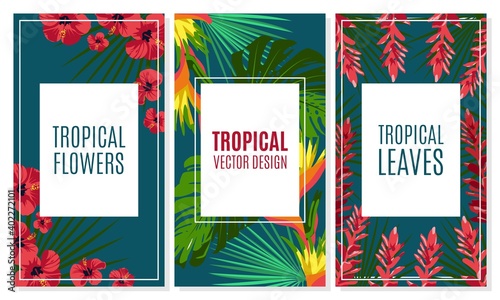 Tropical leaves and flowers cards set. Trendy exotic jungle plants for cover, invitation card, banner, poster botanical design vector illustration