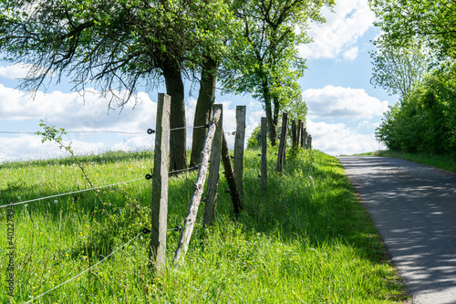 Wallpaper Mural fence in the field Torontodigital.ca