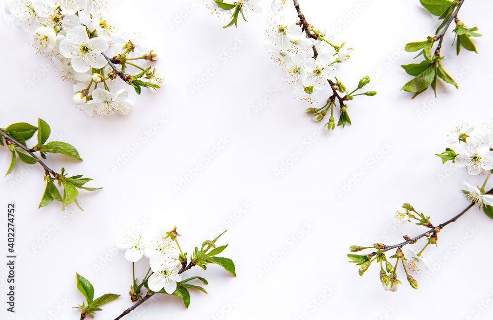 Spring border background with beautiful white flowering branches. Spring border background with beautiful white flowering branches.