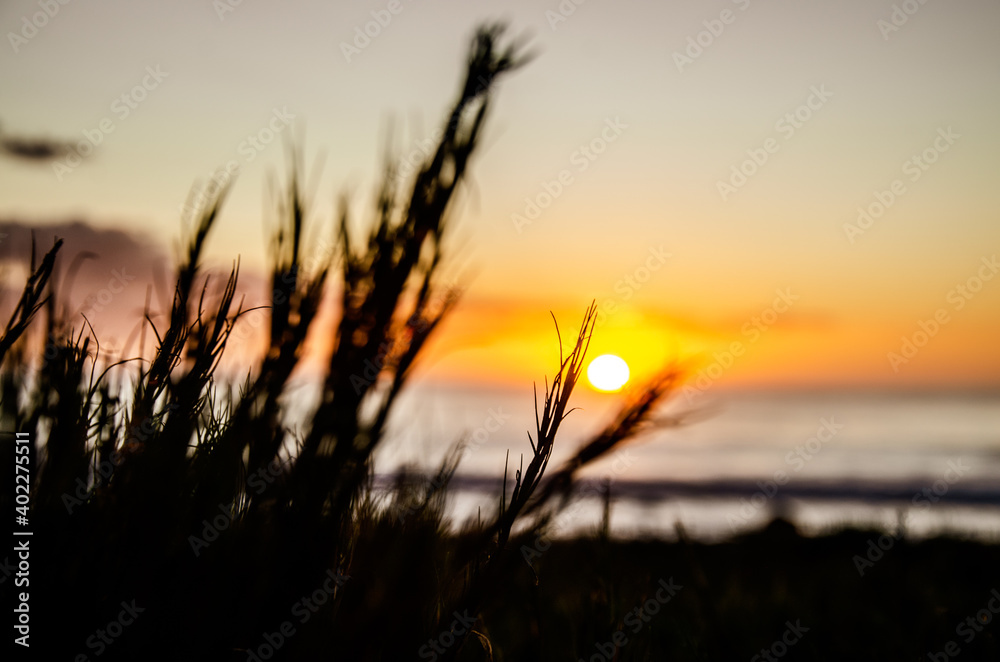 Sunset on the beach