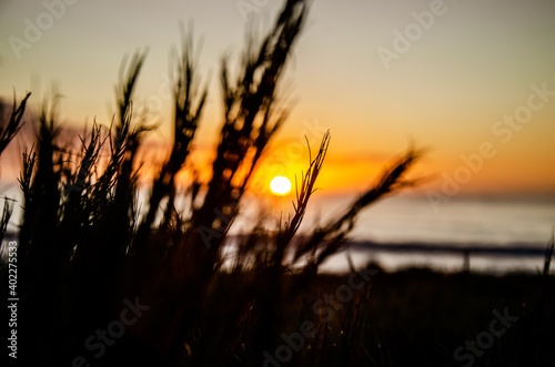 Sunset on the beach