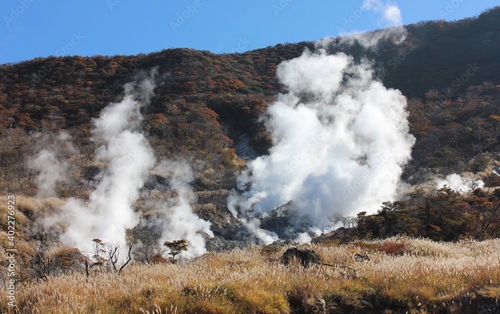 大涌谷　　　箱根火山の中央火口丘で今も噴煙が上がる。