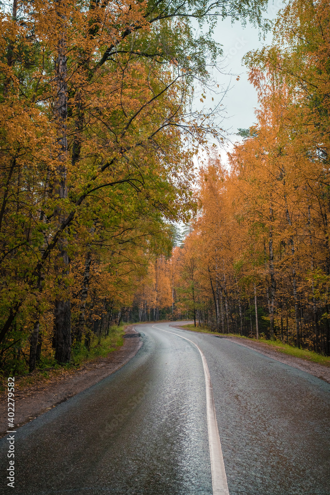 road in autumn