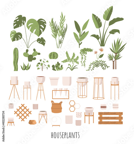Plant lady green house. Set of cute plants in pots, planters, cacti, tropical leaves. Urban jungle banner, greeting card print. House interior decor elements. Houseplants growing, Home gardening