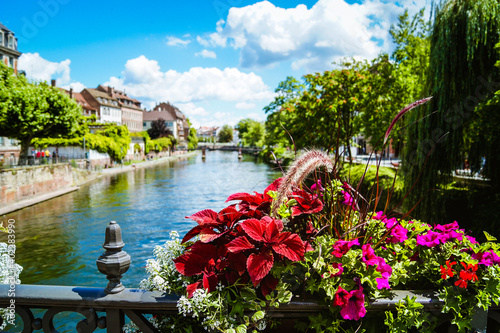Close-up of beautiful, colorful blooming summer flowers with a river and the cityscape of Strasbourg, France in the background.