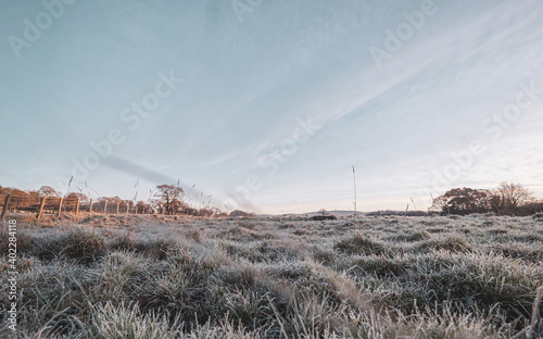 Low level, wide angle close up of frozen grass laden with dew on a misty moody atmospheric winter sunset morning.