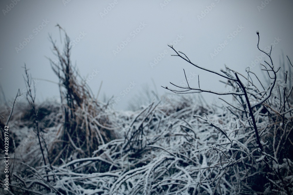 Fototapeta premium Winter in Carolinensiel