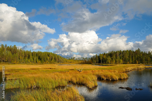 Herbsttag in Värmlands län, bei Höljes in Schweden