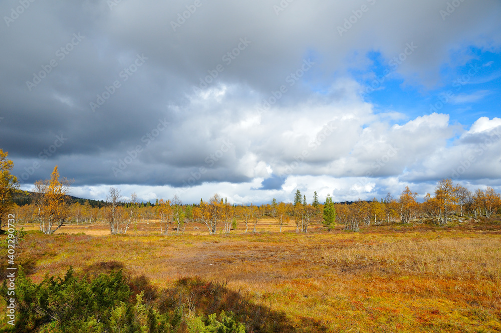 Fluß in Schweden in Jämtland im Herbst