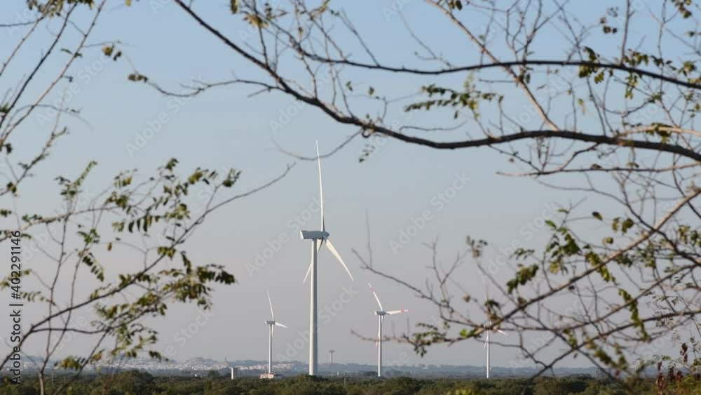 Wind turbine produce renewable electricity. Windmill, wind power technology of Energy Production. Wind turbines standing on a olive grove, zoom in, Puglia, Italy Wind turbine produce renewable electricity. Windmill, wind power technology of Energy Production. Wind turbines standing on a olive grove, zoom in, Puglia, Italy