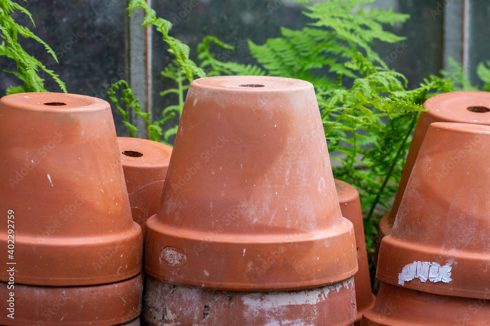 terracotta flower pots waiting for spring
terracotta flower pots waiting for spring