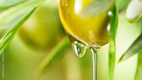 Pouring olive oil and branch, close-up.