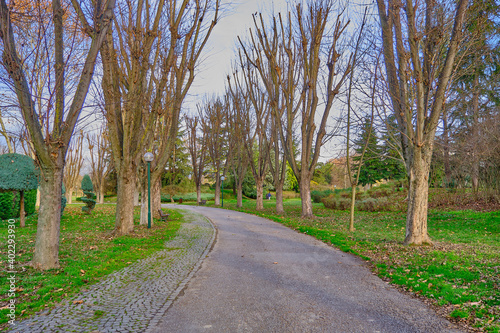 Walking way made of gravel and tree near the way. Autumn theme with dried trees with sky background.