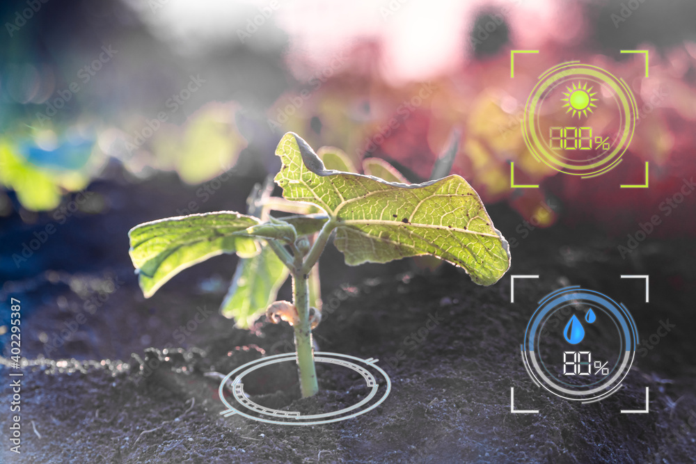Sprout Technology Smart farm technology for detection and control system for sprout plant ...