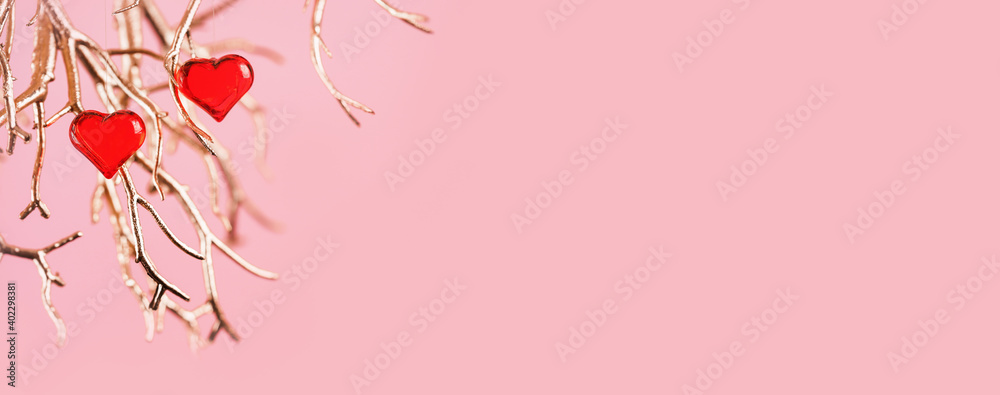 Two red glass hearts on golden branches on pink background. Love and date. St Valentines Day card. 14 February wedding invitation or thank you concept. Wide banner with copy space