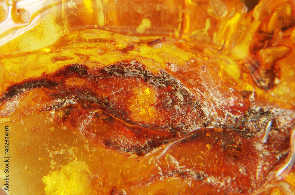 Texture of natural Baltic amber Texture of natural Baltic amber