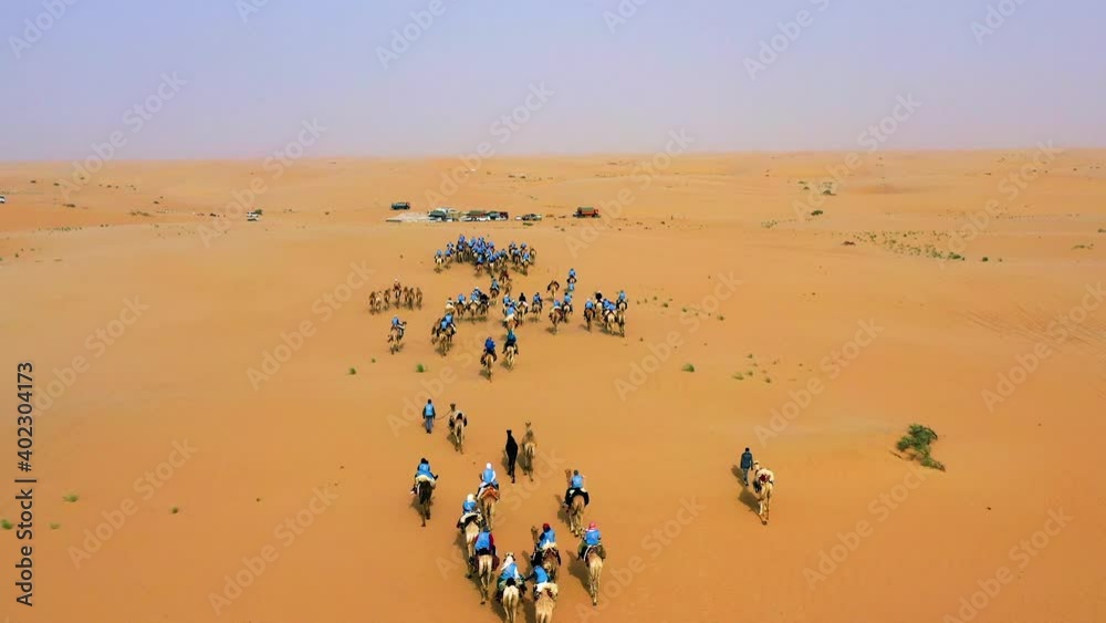 Aerial view over a cavalcade of camels, in middle of the Sahara desert, in Morocco - dolly, drone shot Aerial view over a cavalcade of camels, in middle of the Sahara desert, in Morocco - dolly, drone shot