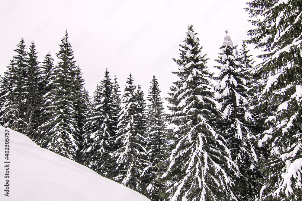 Schneelandschaft Schneelandschaft