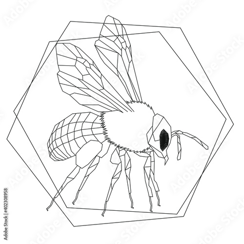 Biene Silhouette Lineart / Outlines / Origami Stil