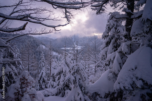 Fototapeta Naklejka Na Ścianę i Meble -  Winter scenery in the Tatra Mountains.