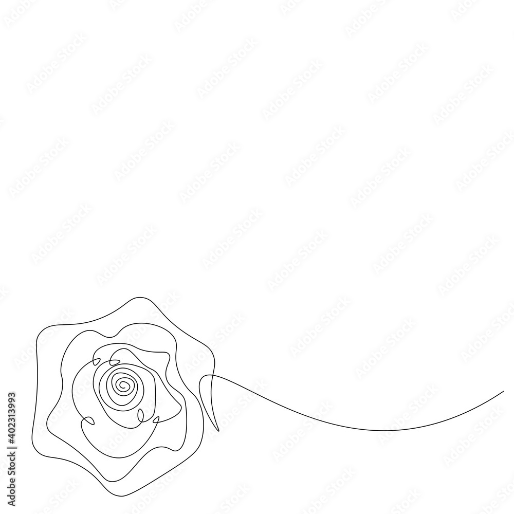 Fototapeta Rose flower line drawing, vector illustration