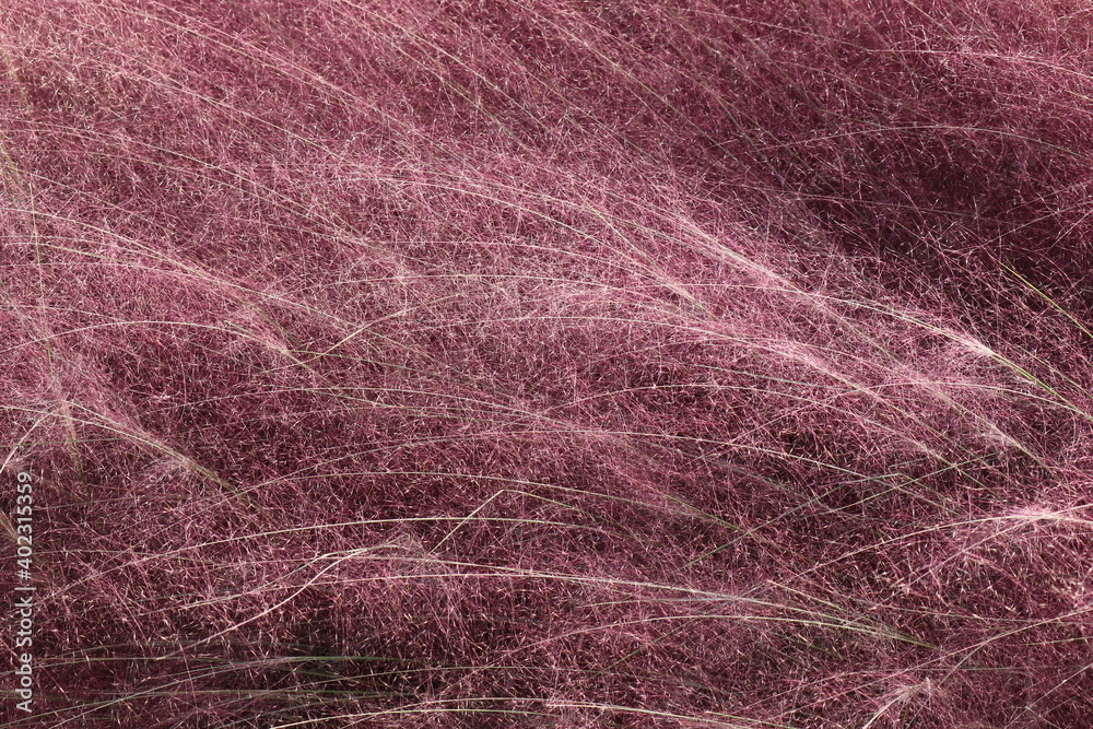 pink muhly wind bird village pink muhly wind bird village