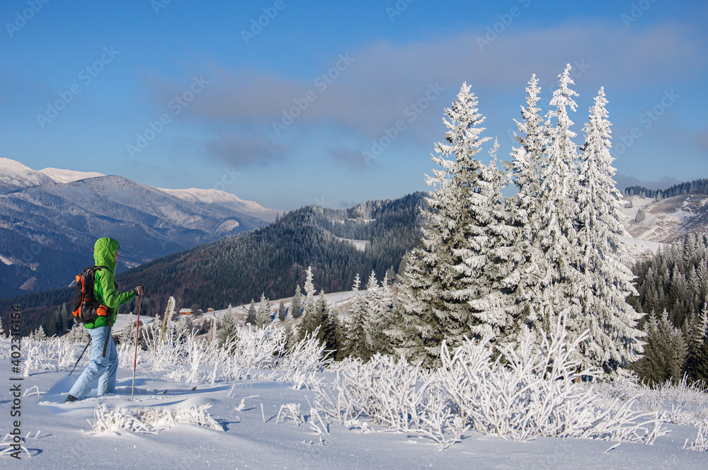 Sports girl in bright clothes is skiing in the snowy carpathian mountains