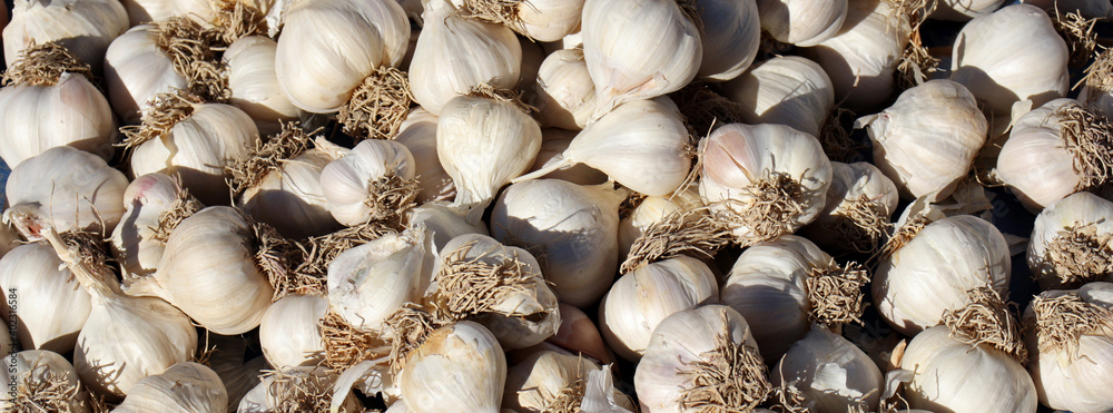 dried organic garlic at the market counter