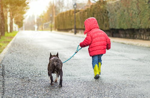 boy in red coat and bulldog dog tied to his leash running in the rain. friendship Concept.