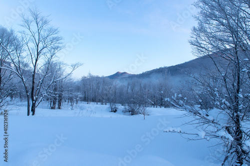 北海道冬の風景 富良野の樹氷