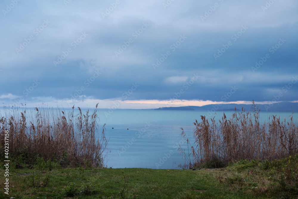 View of Trasimeno lake at dusk, with the characteristic reeds along the shores and the flat blue water, Umbria, Italy.