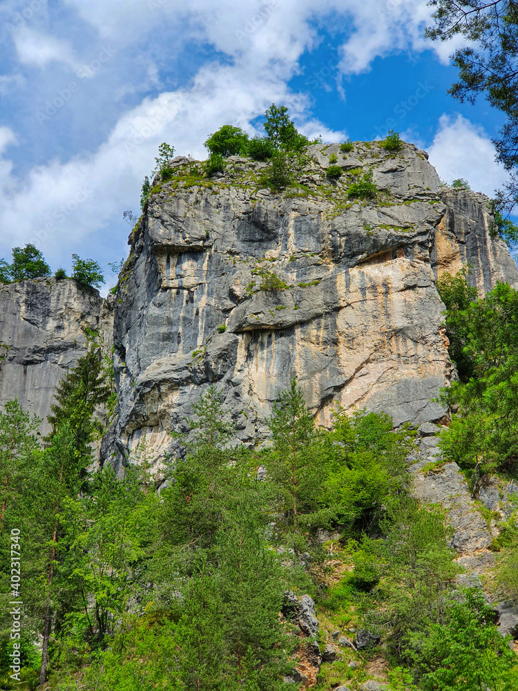 VERTICAL: Breathtaking cliffs tower above a forest in the Austrian mountains.