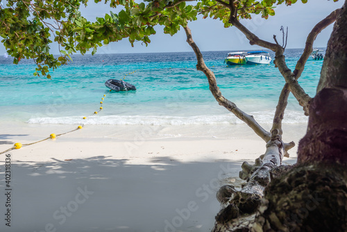 Fototapeta Naklejka Na Ścianę i Meble -  Similan Islands