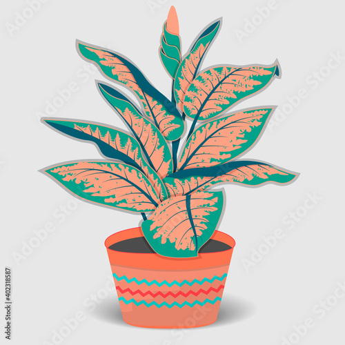 Indoor plant flat color illustration.Realistic houseplant in beige pot.Exotic flower with stem and leaves.,dieffenbachia isolated botanical design element.