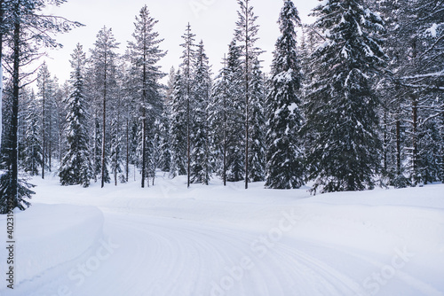 Snowy roadway in winter forest in countryside © BullRun