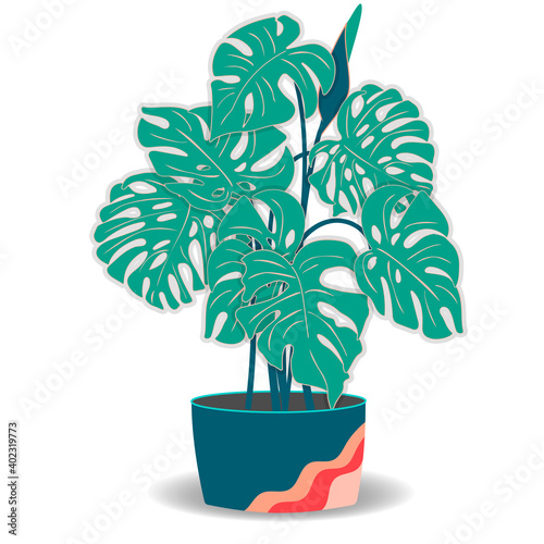 Indoor plant flat color illustration.Realistic houseplant in beige pot.Exotic flower with stem and leaves.Monstera isolated botanical design element.