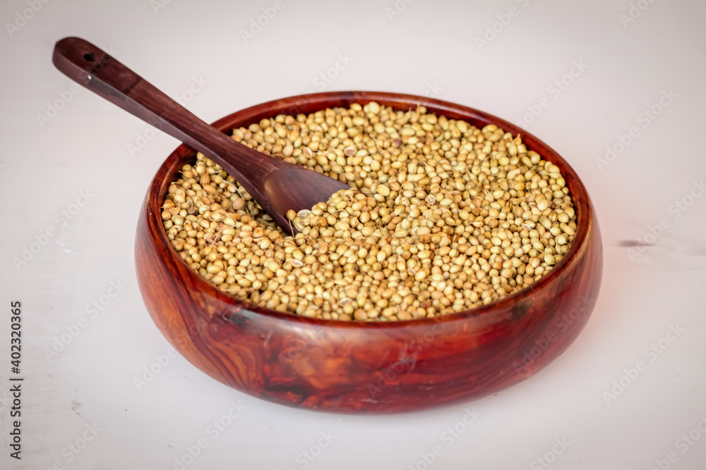 Coriander seeds in a big wooden bowl, coriander seeds and wooden spoon beautiful footage,raw Organic coriander Seeds in a Bowl,selective focus on subject,dried coriander seed bowl Coriander seeds in a big wooden bowl, coriander seeds and wooden spoon beautiful footage,raw Organic coriander Seeds in a Bowl,selective focus on subject,dried coriander seed bowl