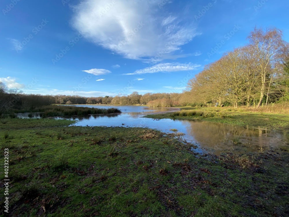 A view of Brown Moss Nature Reserve near Whitchurch