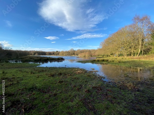 A view of Brown Moss Nature Reserve near Whitchurch