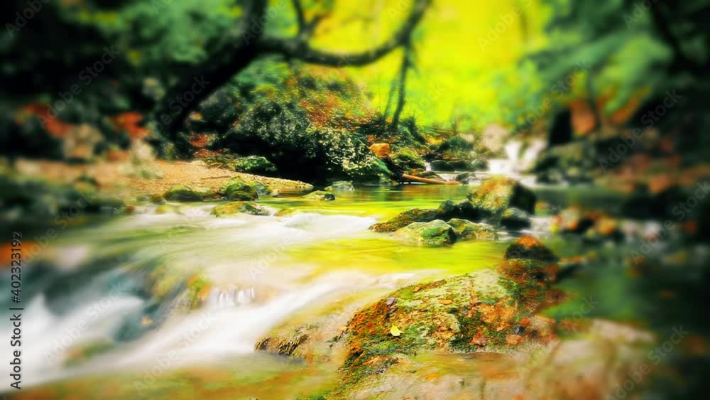 mountain stream in the forest mountain stream in the forest