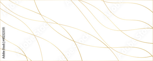 Modern abstract light gold white silver background vector. Elegant concept design with golden line. 