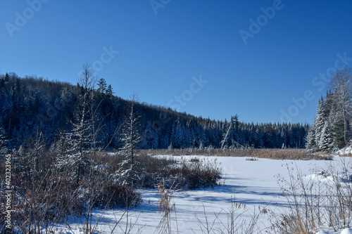 Fototapeta Naklejka Na Ścianę i Meble -  Winter landscape around a lake in Quebec, Canada, in December