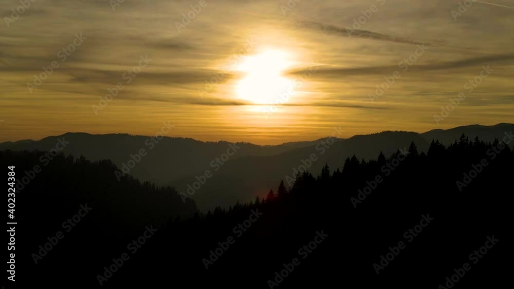 Aerial descending shot of a silhouette of a pine tree forest at a golden sunset Aerial descending shot of a silhouette of a pine tree forest at a golden sunset