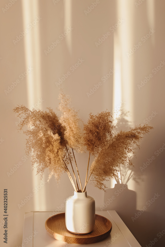 Pampas grass in vase in a living room