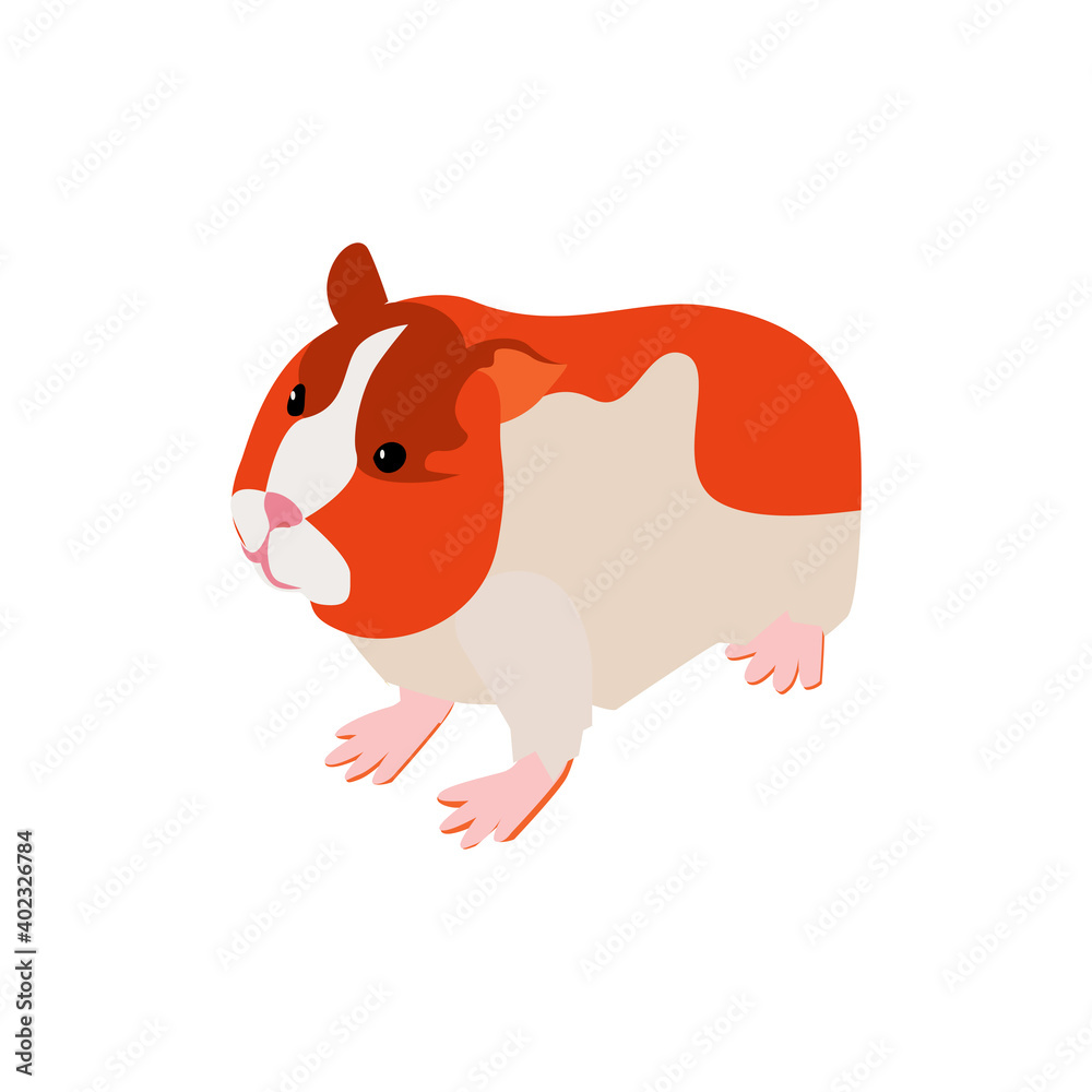 Naklejka premium Hamster Pet Isometric Composition