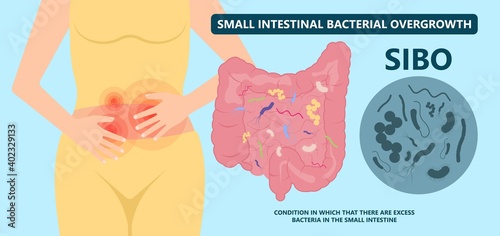 intestine bacteria gut pain eating IBS large fungal fungi tract H. pylori c. diff cancer gas colon Rectal vomiting spastic mucous colitis viral acid level celiac  Crohn's abdomen yeast system germs