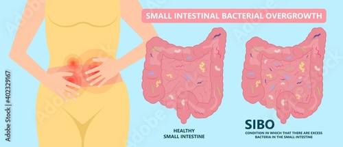 intestine bacteria gut pain eating IBS large fungal fungi tract H. pylori c. diff cancer gas colon Rectal vomiting spastic mucous colitis viral acid level celiac  Crohn's abdomen yeast system germs