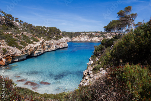 view of the beautiful beach  Cal   des Moro  immersed in  the Mediterranean scrub  with crystal clear water  Majorca  Mallorca  Balearic Islands  Spain  Europe.