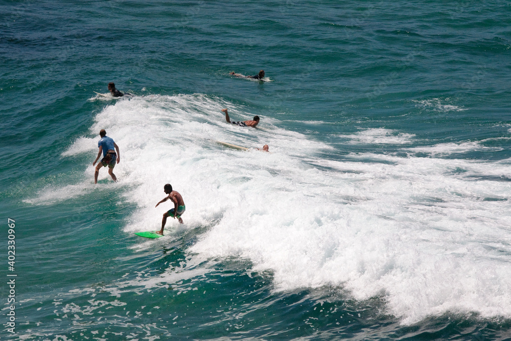 Surfers in the water have fun catching waves  at Bondi Beach in a sunny summer day,  Sydney, Australia.
